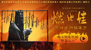 怡红院免费的全部视频